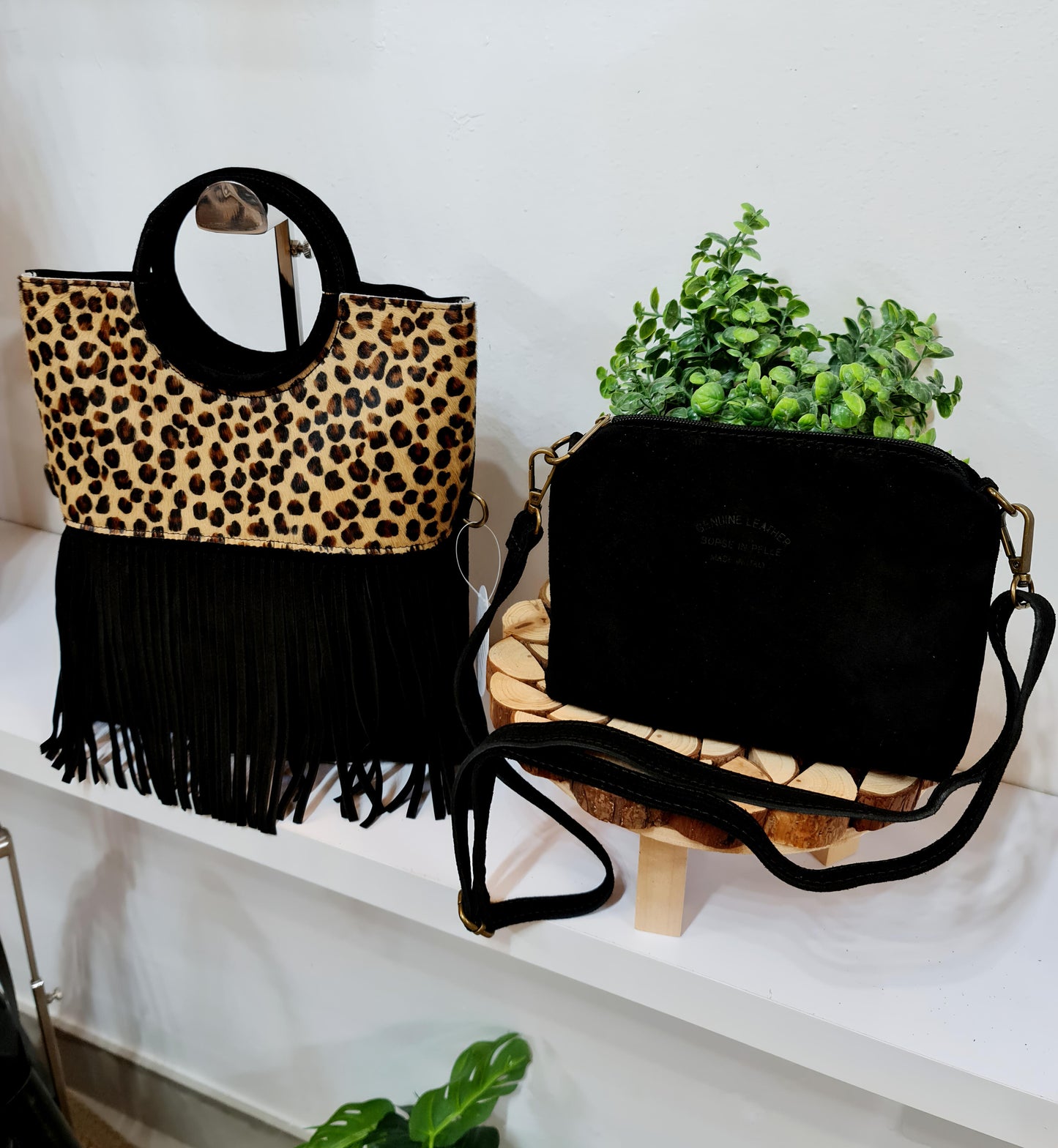 " CARLA NABUK E CAVALLINO "