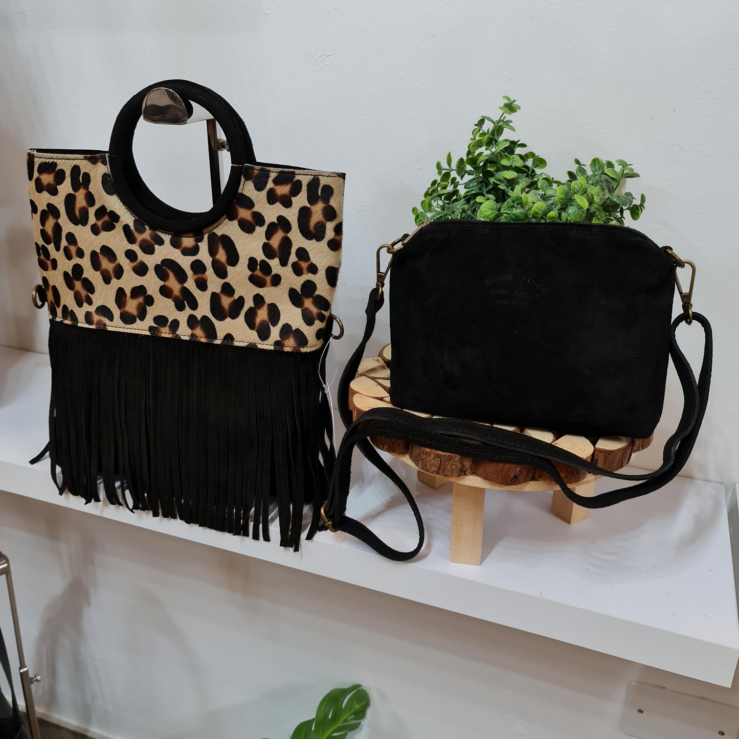 " CARLA NABUK E CAVALLINO "