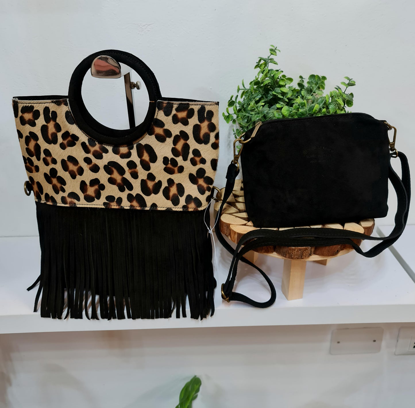 " CARLA NABUK E CAVALLINO "