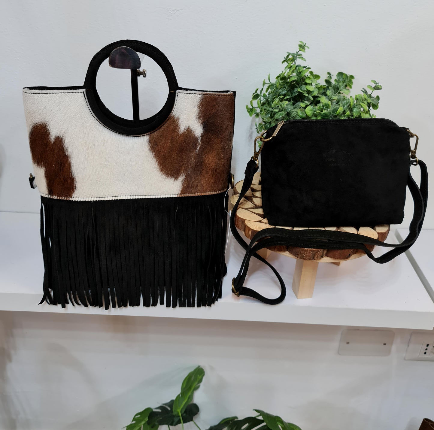 " CARLA NABUK E CAVALLINO "